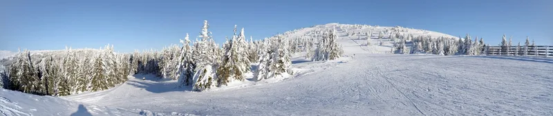 Kopaonik — nacionalni park i planinski centar