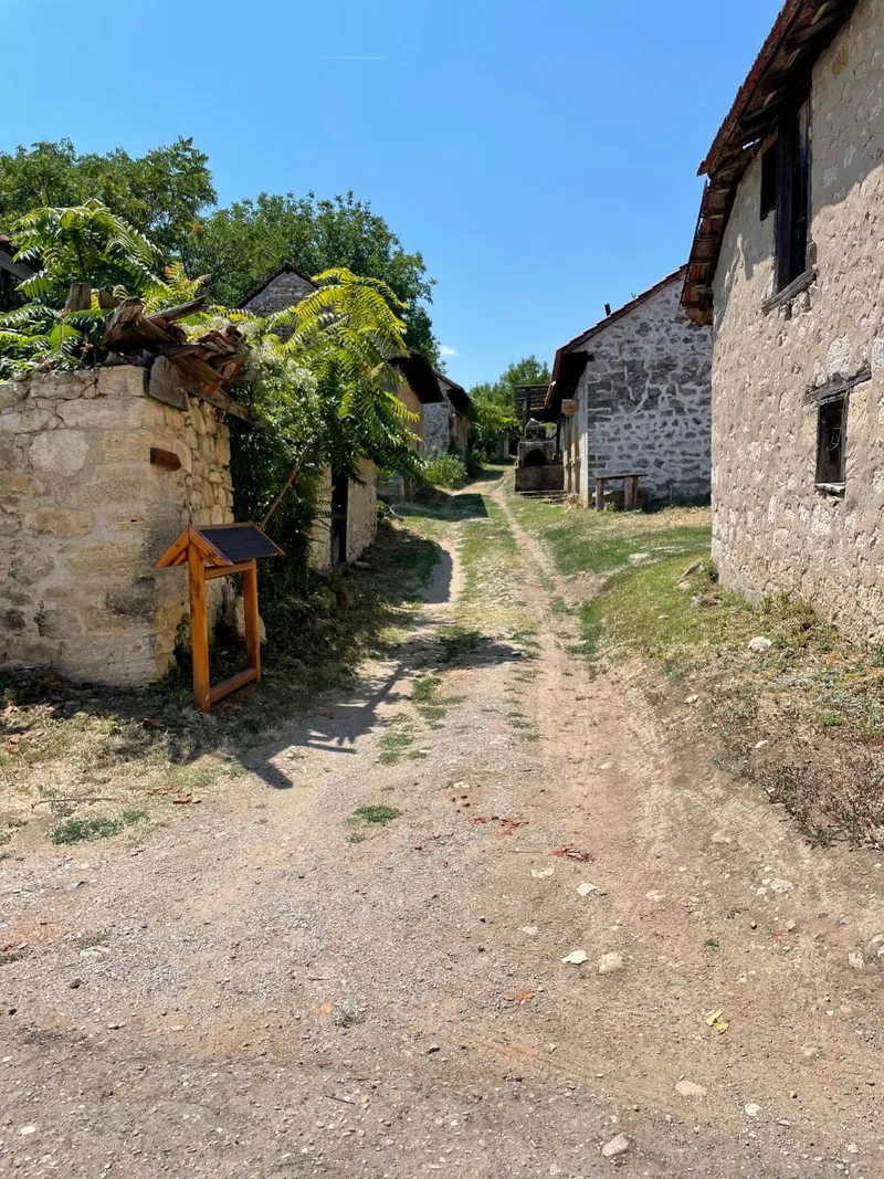 Rajačke pimnice