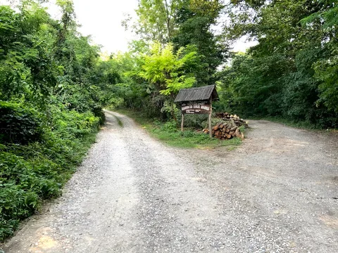 Put do Miličinog konaka u Tršiću