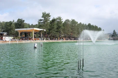 Zlatibor - borova šuma i jezero