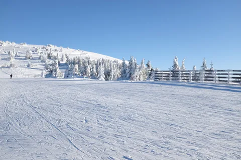 Kopaonik skijaška staza Pančićev vrh