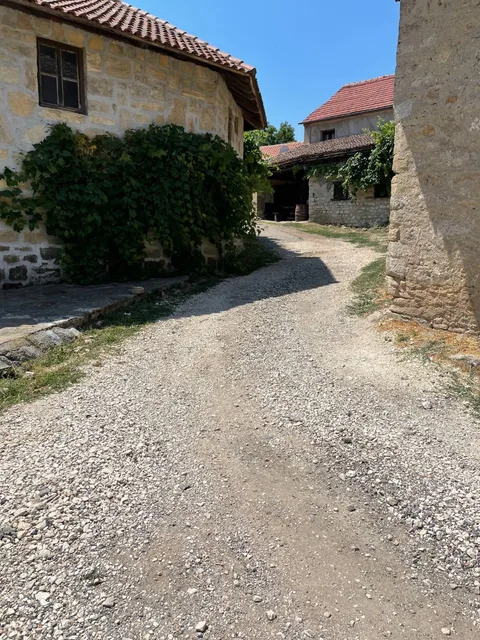 Rajačke pivnice dvorište vinova loza